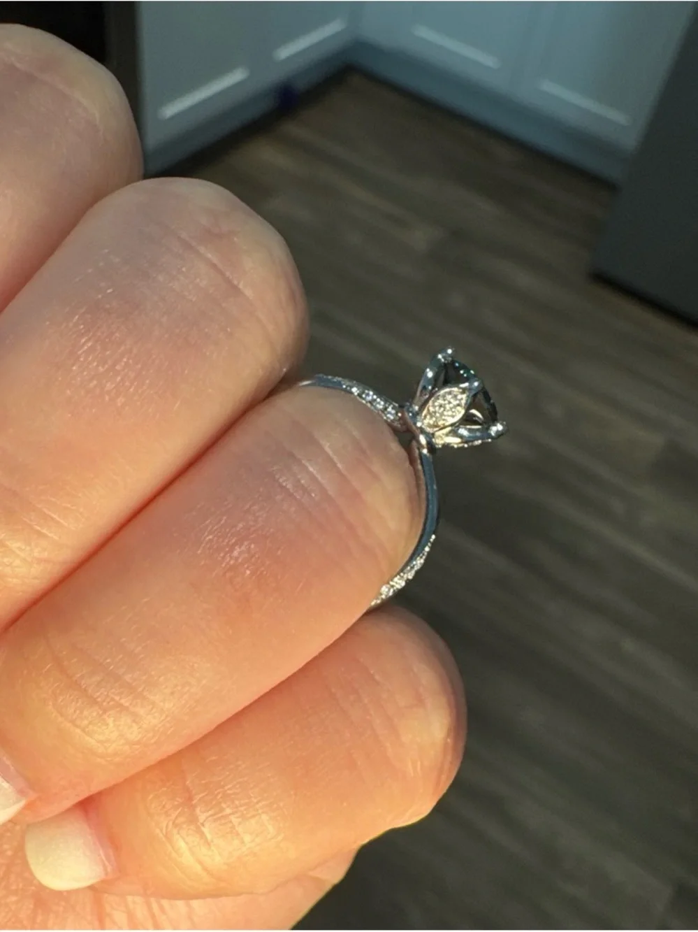 1.00Ct 18K White Gold Oceanic Solitaire Engagement Ring with Pavé Band